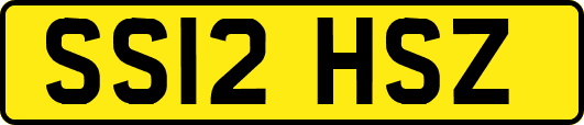 SS12HSZ