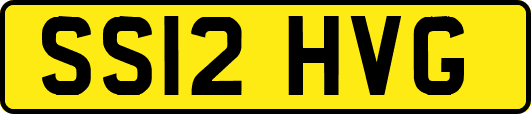 SS12HVG
