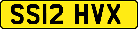 SS12HVX