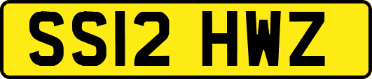 SS12HWZ