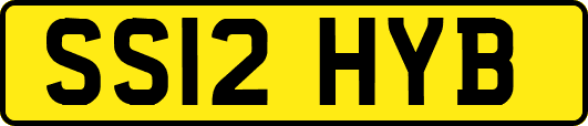 SS12HYB