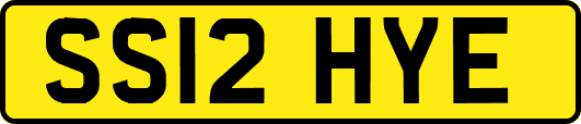SS12HYE