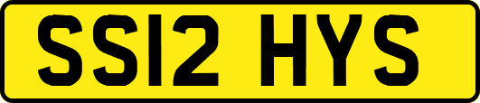 SS12HYS