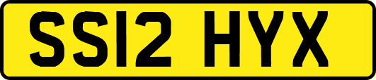 SS12HYX