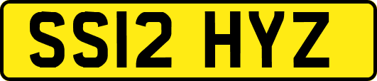 SS12HYZ