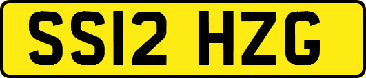 SS12HZG