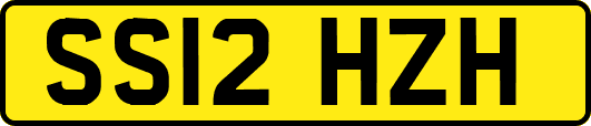 SS12HZH