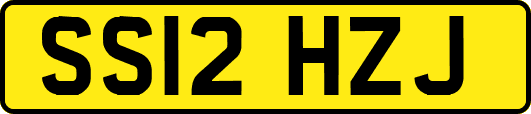 SS12HZJ