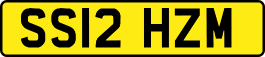SS12HZM