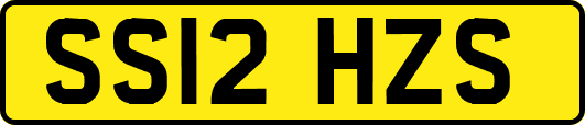 SS12HZS