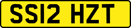SS12HZT