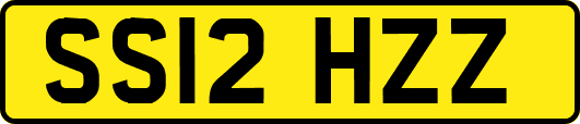 SS12HZZ