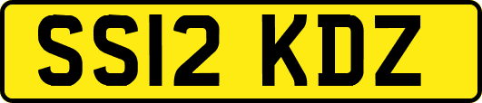 SS12KDZ