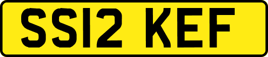 SS12KEF