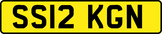 SS12KGN