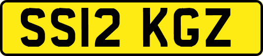 SS12KGZ