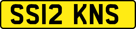 SS12KNS