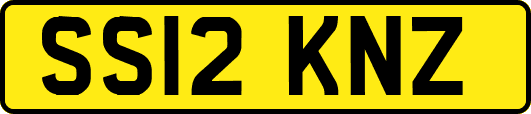 SS12KNZ