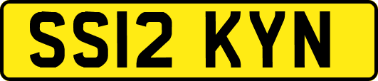 SS12KYN