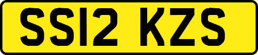SS12KZS