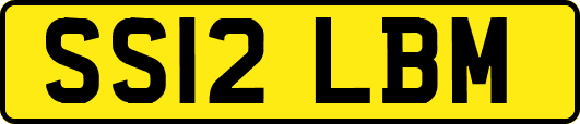 SS12LBM