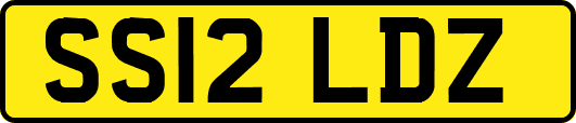 SS12LDZ