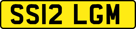 SS12LGM