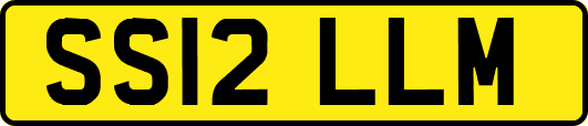 SS12LLM