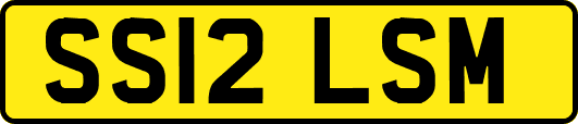 SS12LSM