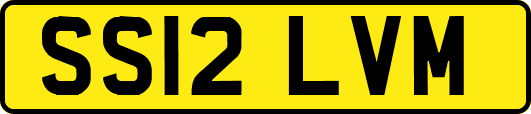 SS12LVM