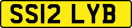 SS12LYB
