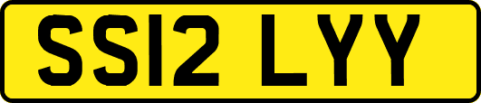 SS12LYY