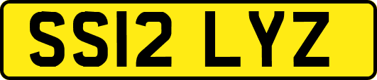 SS12LYZ