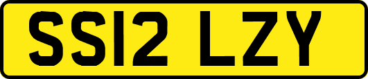 SS12LZY