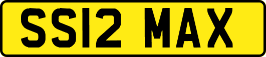 SS12MAX