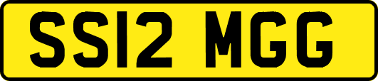 SS12MGG