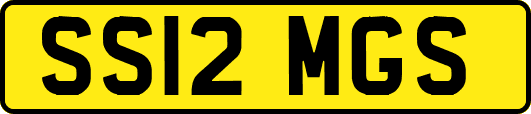 SS12MGS