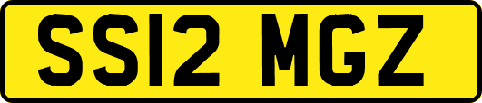 SS12MGZ