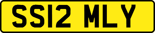 SS12MLY