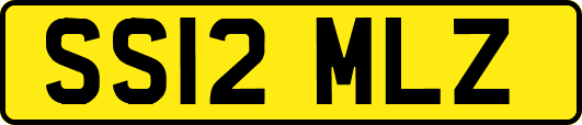 SS12MLZ