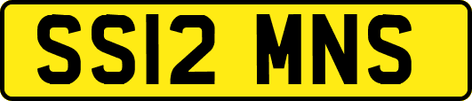 SS12MNS