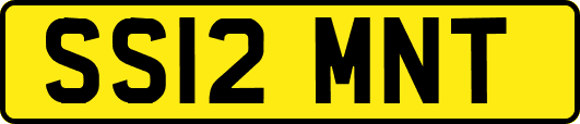 SS12MNT