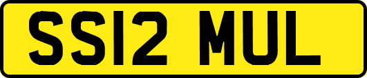 SS12MUL