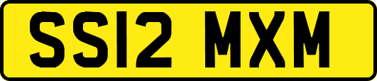 SS12MXM