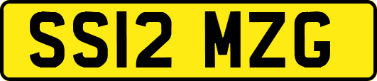 SS12MZG
