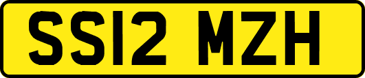 SS12MZH