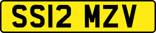 SS12MZV