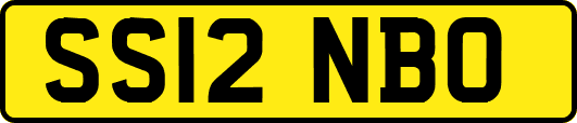 SS12NBO