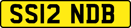 SS12NDB