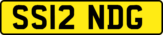 SS12NDG